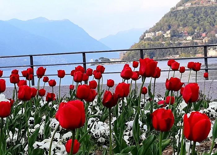 Casa Patricia3 - Como Lago - Centro Storico